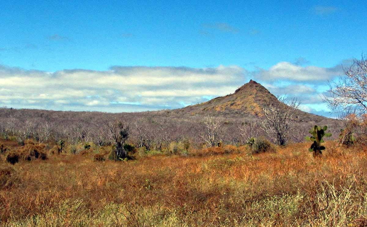 Cerro Dragón | Galapagos Islands