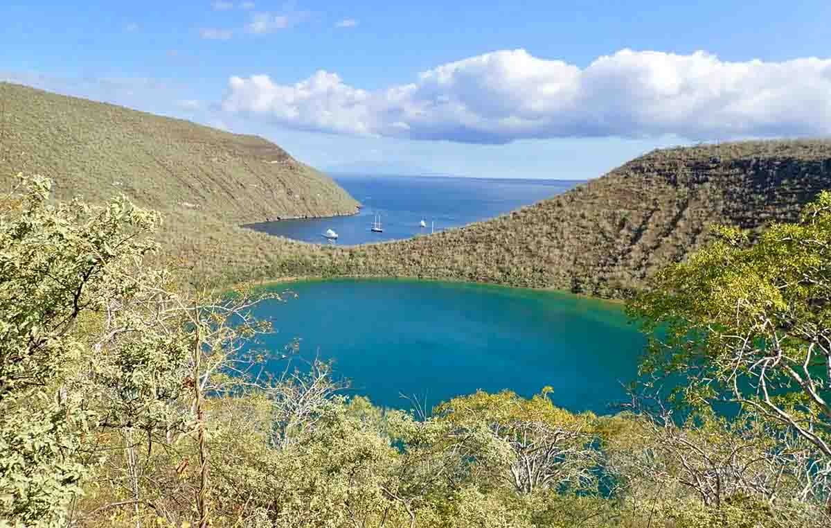 Caleta Tagus | Galapagos Islands