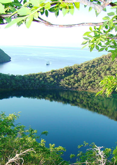 Caleta Tagus | Galapagos Islands